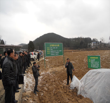 農(nóng)大哥生物腐熟劑現(xiàn)場觀摩會1