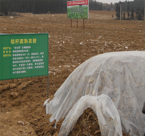 農(nóng)大哥生物腐熟劑現(xiàn)場觀摩會3