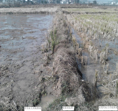 秸稈還田使用效果對比圖